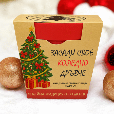 Засади Свое Коледно Дръвче-Комплект със семенца