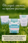 1769242076590-74v3pybqr7o
