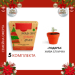 Семейна оферта