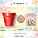 image_1770016778007_i1nvyo