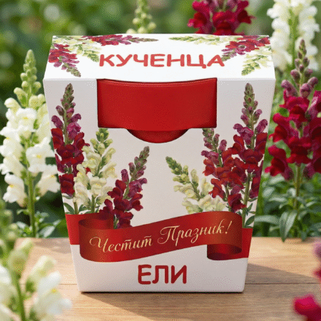 Подаръчен комплект с Кученца – символ на сила, усмивка и цветна игривост